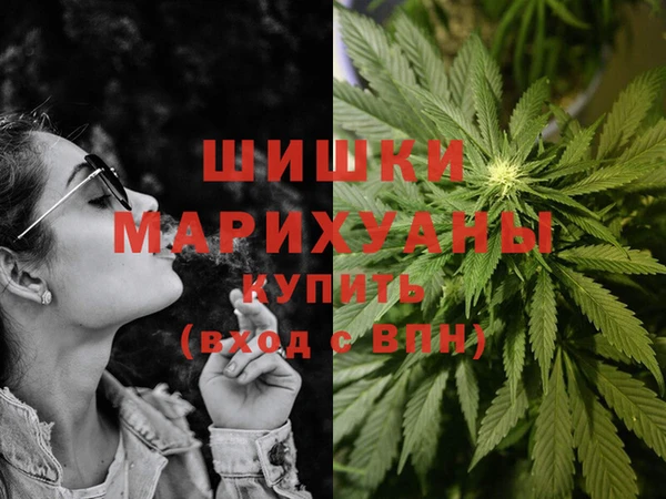 дживик Иннополис