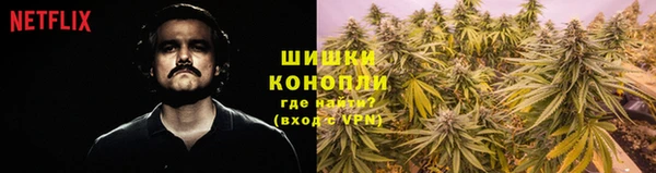 дживик Иннополис