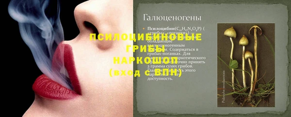 дживик Иннополис