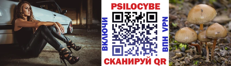 Псилоцибиновые грибы мицелий Купить где Нягань